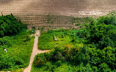 Akyem Asamama: FromMining Impact to Forest Restoration.